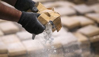 Descubren cómo desconectar la adicción a la cocaína en el cerebro