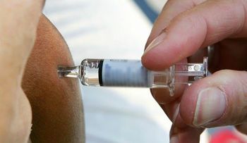 Universidad de florida descubre cura para Lupus