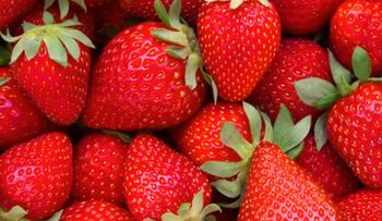 ¡Las fresas: Una bomba de salud, que curan lo que NO imaginas