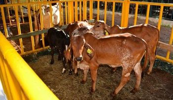 CEA destaca avances de reproducción animal en laboratorio de biotecnología