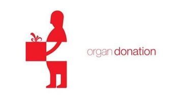 La donación de órganos ayuda a dar vida después de la vida