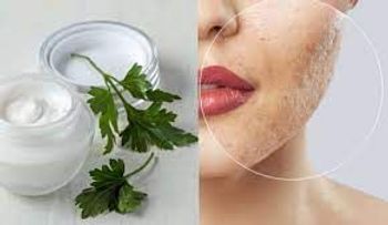 El perejil rejuvenece tu rostro, te diremos cómo se prepara