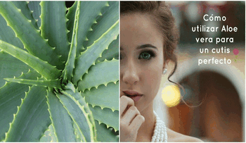 El aloe vera erradica todas las arrugas e imperfecciones del rostro. Genial, mira la receta....