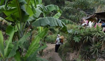 Colombia registra más de 22.600 casos de zika y fuerte aumento de Guillain-Barré