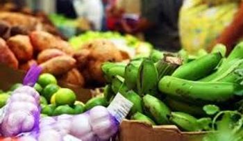 Atribuyen a especulación altos precios de los plátanos