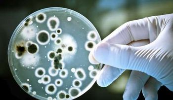 Una nueva esperanza para superar el cáncer