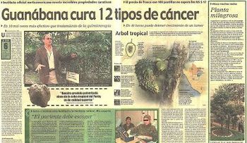 Guanábana, una planta secuestrada por la Mafia Farmacéutica: Cura 12 tipos de cáncer