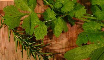 Conservar las hierbas aromáticas