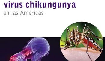 Vimovo para quitar los fuertes dolores en las articulaciones dejado por la chikungunya