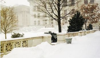La capital del mundo amaneció paralizada por tormenta de frio y nieve