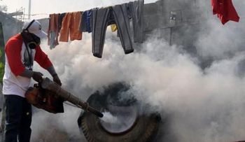 Venezuela y el chikunguña: Bajo efecto artritis epidémica
