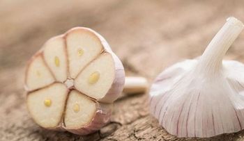 El ajo mata 14 tipos de cáncer y 13 tipos de infección. ¿Por qué los médicos no lo recetan?