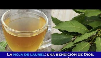 La hoja de laurel: combate insomnio, azúcar, presión alta y grasa en la sangre, si la prepara de esta manera.