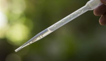 Inician investigación para lograr una vacuna contra el zika