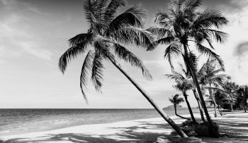 La misteriosa isla tropical donde sus pobladores solo ven en blanco y negro