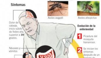 Confirman tres muertes por chikungunya en la República Dominicana 