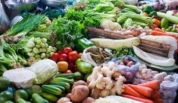 EE.UU. levanta parcialmente prohibición de productos agrícolas de RD
