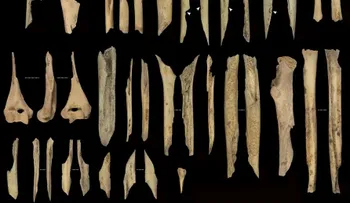 Descubren canibalismo Neolítico en Atapuerca sin Indicios Rituales