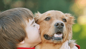 5 formas en las que las mascotas benefician tu salud