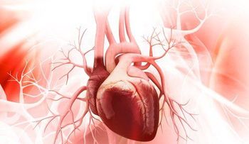 Descubren un nuevo culpable de las enfermedades cardiovasculares
