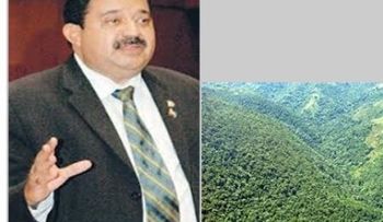 Dominicanos NY apoyan proyecto senador La Vega declaren Parque Nacional a Loma Miranda