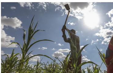 ONU alerta: 2 millones en Somalia sufren hambre aguda