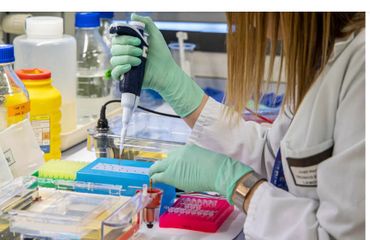 OMS alerta que el cáncer afectará a la mayoría de la población mundial