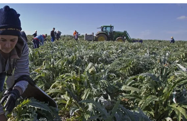 Ecologistas alertan sobre impacto del acuerdo UE-Mercosur