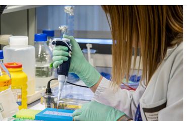 OMS alerta que más del 90 % de la población será afectada por el cáncer