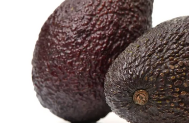 Cáscaras de palta: usos prácticos y sostenibles en el hogar