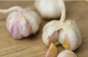 Cinco claves para cultivar ajos con éxito en casa