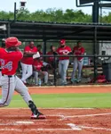 Leones derrotan a las Estrellas y al equipo de Italia en pretemporada