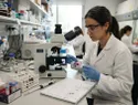 Fiebre y dolores osteomusculares pueden ser síntomas de leucemia infantil