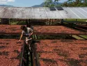 Cacao dominicano genera más de US$2,642 millones en divisas desde 2019