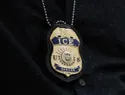 ICE detiene por error a un ciudadano estadounidense en Evanston y lo deja lesionado, según la policía