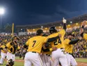 Águilas, Licey y Toros triunfan en jornada dominical; cuatro equipos comparten la cima