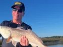 Garrapata le cambió la vida a un farmacéutico jubilado en Nueva Hampshire