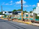 Baní denuncia tala de robles centenarios en el centro urbano durante remozamiento de RD$57 millones