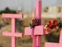 Expertos dudan que nuevas penas del Código Penal reduzcan feminicidios en RD