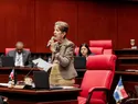 Senado conforma comisiones bicamerales para estudiar Presupuesto 2027 y reforma al Código Civil