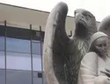 IMSS admite que entregó dos recién nacidas a familias equivocadas en Mexicali
