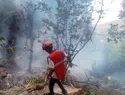 Ecuador guarda luto por muerte de jefe de Inteligencia y su esposa en accidente de helicóptero en Kenia
