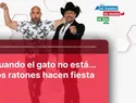 Cuando el gato se va, los ratones hacen fiesta