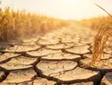 El calentamiento global podría reducir la brecha térmica entre ciudades y zonas rurales para 2050