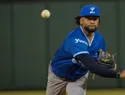 Licey logra histórico no-hitter colectivo de siete lanzadores ante los Toros