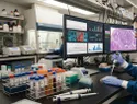 GMSP impulsa la oncología de precisión en Venezuela con perfilamiento genético y patología digital