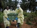 República del Congo eleva a 2,516 los muertos y 5,290 casos confirmados de ébola