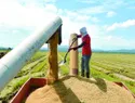 Piantini propone transparentar importaciones de arroz y elevar productividad con la presa del Alto Yuna