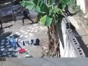 Fiscalía de La Vega somete a agente policial por muerte de "Marqui" durante operativo en El Hatico