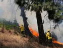 Ambientalistas piden al Gobierno liderar lucha contra el terrorismo ambiental en áreas protegidas